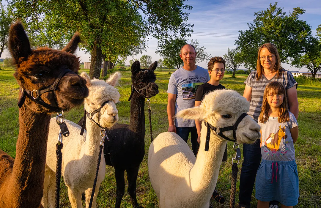 Alpakas Zöbingen - Über uns